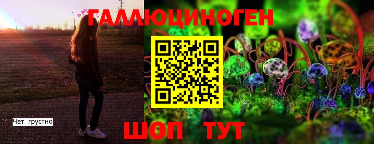 Галлюциногенные грибы ЛСД Мыски