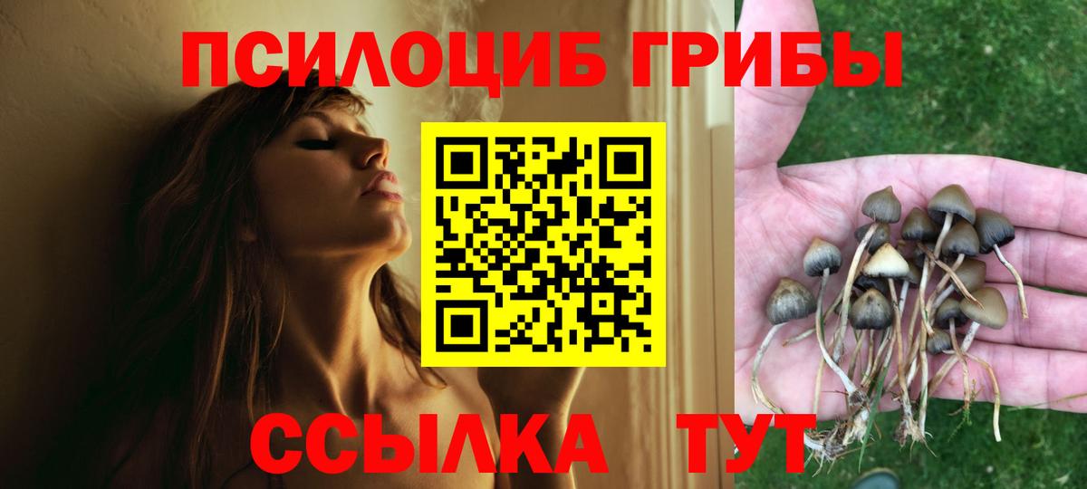 Псилоцибиновые грибы Magic Shrooms  как найти наркотики  Мыски  Вход с VPN 